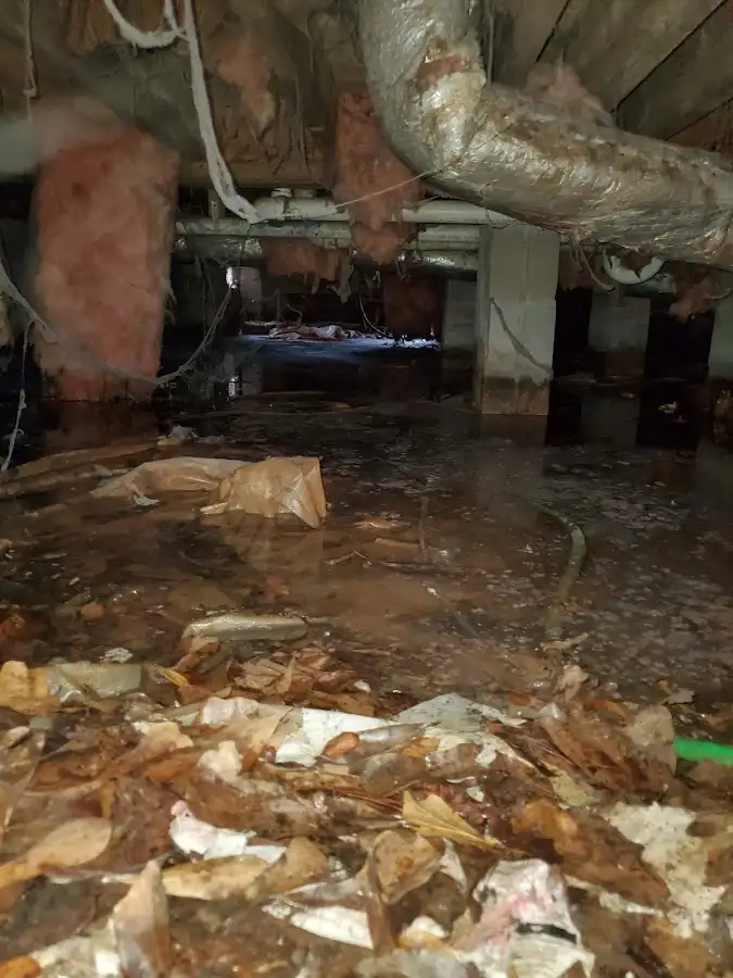 Crawl space flood assessment for Leak Detection & Repair in Oakdale